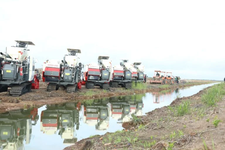 Pemerintah Pacu Swasembada Pangan dengan Optimalisasi Lahan