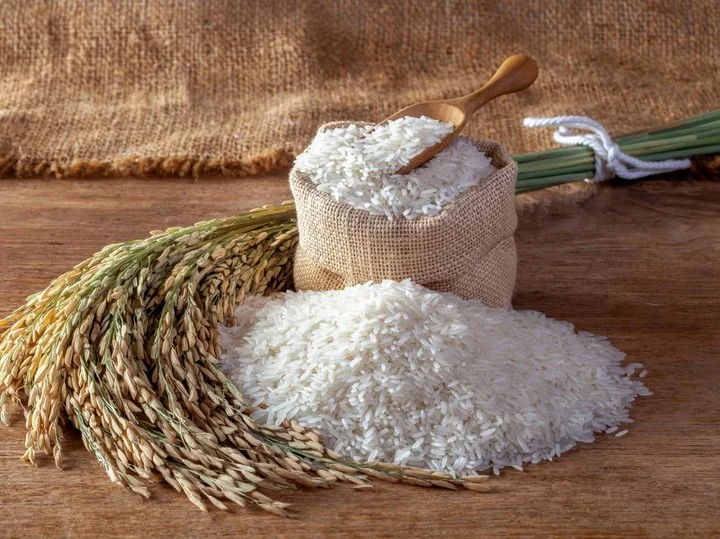 Pemerintah Tindak Tegas Beras Oplosan demi Petani dan Masyarakat