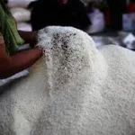 Pemerintah Tegas Berantas Beras Oplosan Demi Keadilan Petani dan Konsumen