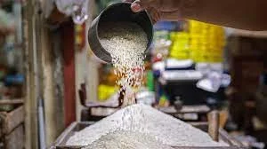 Pemerintah Usut Tuntas Kasus Peredaran Beras Oplosan Beri Perlindungan Konsumen