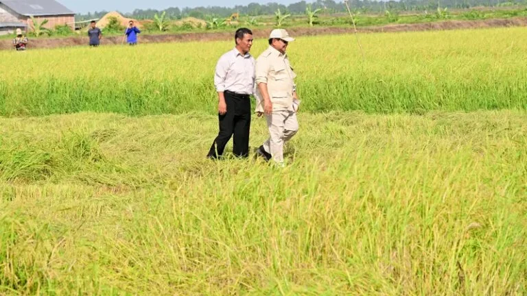 Wujudkan Swasembada Pangan, Pemerintah Jadikan Papua Pilar Ketahanan Nasional