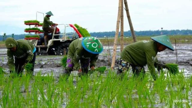 Pemerintah Komitmen Siapkan Infrastruktur Pendukung Program Swasembada Pangan