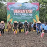 Percepat Cetak Sawah, Pemerintah Siap Wujudkan Swasembada Pangan di Papua