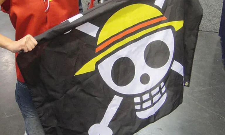 Bendera Bajak Laut Tidak Relevan dengan Nilai-Nilai Kemerdekaan