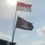 Bendera Bajak Laut Hanya Budaya Pop, Tidak Layak di Bulan Kemerdekaan