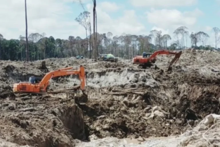 Penindakan Tambang Ilegal Wujud Kepedulian Pemerintah pada Lingkungan