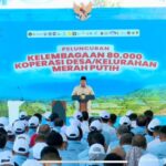 Koperasi Desa Merah Putih Katalis Pertumbuhan Ekonomi Desa