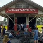 Koperasi Desa Merah Putih Jadi Motor Kemandirian Ekonomi di Papua