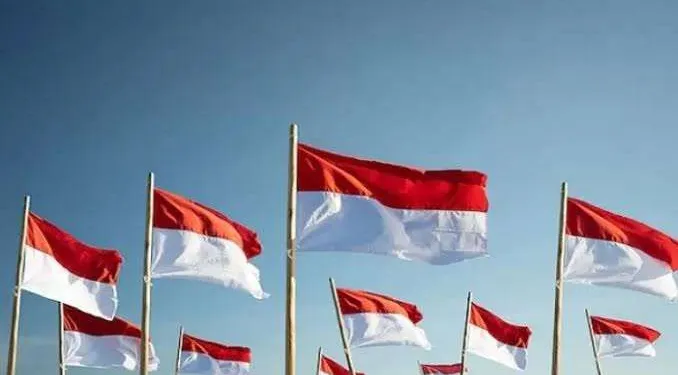 Kibarkan Bendera One Piece di Momen Sakral, Menko Polkam: Pemerintah Akan Ambil Langkah Tegas