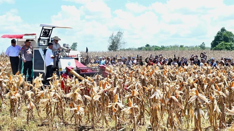 Presiden Prabowo Pimpin Langkah Nyata Menuju Kedaulatan Pangan