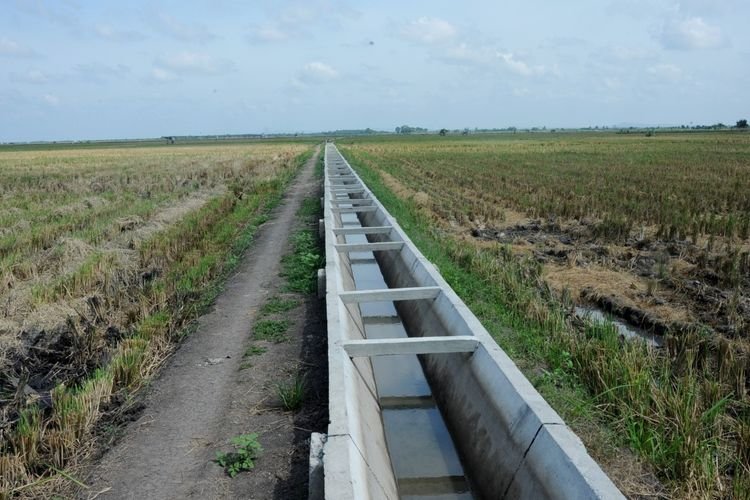 Pemerintah Percepat Rehabilitasi Irigasi untuk Dorong Swasembada Pangan