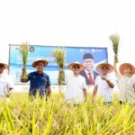 Swasembada Pangan Didorong Melalui Bibit Unggul dan Teknologi Modern