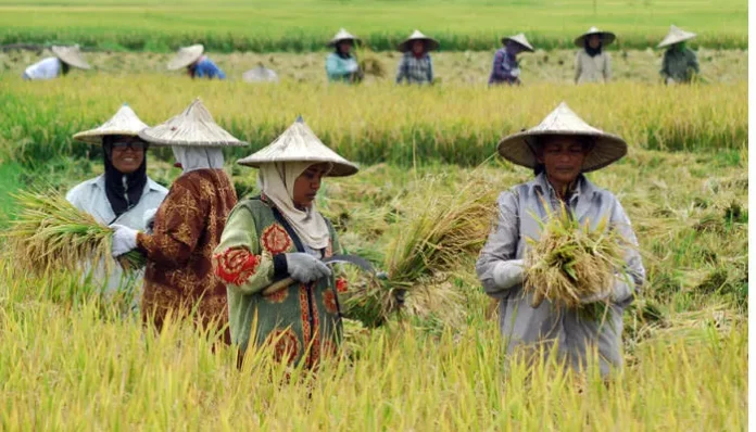 Swasembada Energi Jadi Pilar Ekonomi Baru dengan Perluasan Kesempatan Kerja