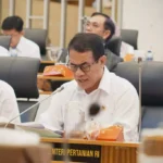 Sinergi Pemerintah Pusat dan Daerah Percepat Hilirisasi Komoditas Strategis