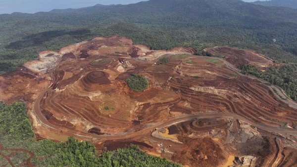 Pulau Gag Jadi Contoh Pertambangan Hijau, Pemerintah Perketat Mitigasi Lingkungan