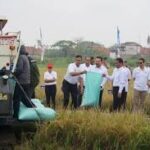 Pemerintah Optimalkan Lahan Sitaan Untuk Proyek Swasembada Pangan yang Serap Tenaga Kerja