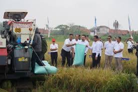 Pemerintah Optimalkan Lahan Sitaan Untuk Proyek Swasembada Pangan yang Serap Tenaga Kerja