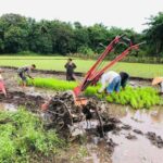 Pemerintah Genjot Swasembada Pangan Demi Kesejahteraan Petani dan Rakyat