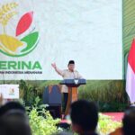 Program Pertanian Presiden Prabowo Antarkan Indonesia Menuju Ketahanan Pangan Berkelanjutan