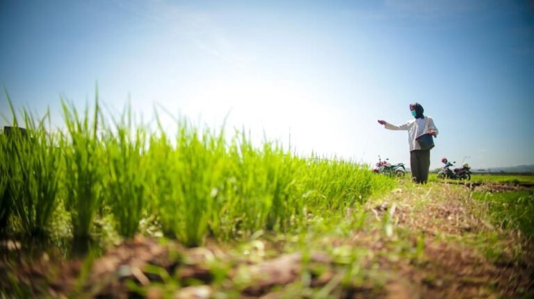 Hilirisasi Pertanian Jadi Pilar Peningkatan Kesejahteraan Petani