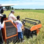 Pemerintah Siapkan Papua Jadi Pilar Kemandirian Pangan dan Energi Nasional