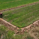 Kemandirian Pangan dan Energi Papua, Jalan Strategis Menuju Kesejahteraan Merata