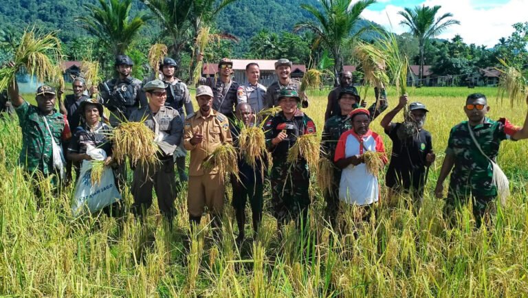 Pemerintah Dorong Transformasi Pertanian Guna Penguatan Ketahanan Pangan Papua