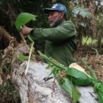 Program Listrik Desa Papua, Fondasi Penting Percepatan Pembangunan Wilayah Timur