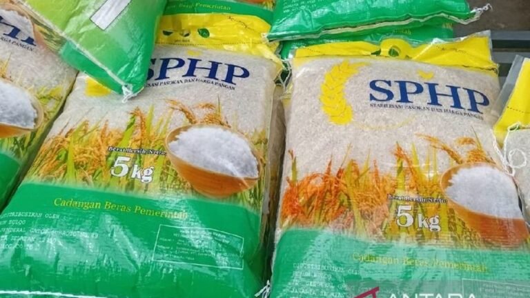 Penyaluran Beras SPHP Jamin Stabilitas Pasokan dan Harga Pangan di Tanah Papua