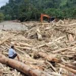 Presiden Prabowo Tegaskan Penindakan Tegas Penebangan Hutan Pasca Bencana di Sumatera