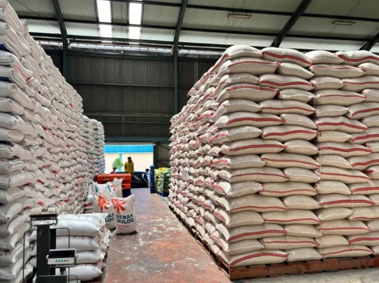 Cadangan Beras 3,8 Juta Ton, Bukti Nyata Indonesia Menuju Swasembada Pangan 2025