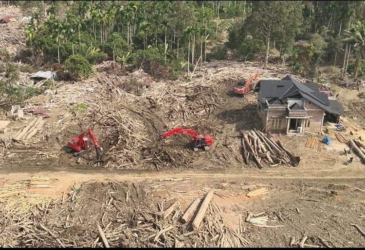 Pemanfaatan Kayu Hanyut Pascabanjir Mendukung Bangun Hunian Sementara di Sumatra