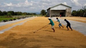 Swasembada Pangan Era Prabowo Perkokoh Ekonomi Rakyat dan Stabilitas Sosial