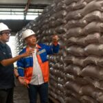 Pembangunan Pabrik Pupuk di Fakfak Dorong Produktivitas Petani Papua dan Ketahanan Pangan