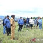 PSN Perkokoh Fondasi Kemandirian Pangan dan Kesejahteraan Papua Pegunungan