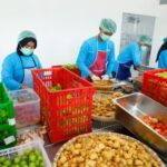 MBG Berbasis Petani Lokal, Gizi yang Menggerakkan Ekonomi Rakyat