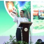 Keberhasilan Swasembada Indonesia Menarik Perhatian Negara Maju dan Pengakuan Internasional