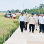 Swasembada Pangan Jadi Bukti Kedaulatan Bangsa, Bukan Sekadar Target Politik