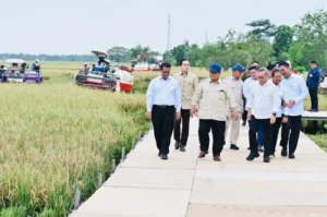 Swasembada Pangan Jadi Bukti Kedaulatan Bangsa, Bukan Sekadar Target Politik