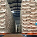 Pemerintah Optimistis Swasembada Beras Jadi Fondasi Kemandirian Pangan Nasional