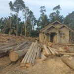 Pemerintah Terus Kirim Bantuan Logistik via Helikopter untuk Warga Terdampak Banjir Sumatra