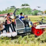 Strategi Terpadu Pemerintah Mengokohkan Ketahanan dan Kemandirian Pangan