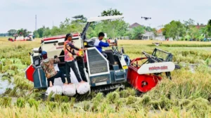 Strategi Terpadu Pemerintah Mengokohkan Ketahanan dan Kemandirian Pangan