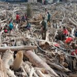 Optimalkan Kayu Pascabanjir di Aceh dan Sumut, Warga Dapat Manfaat Nyata