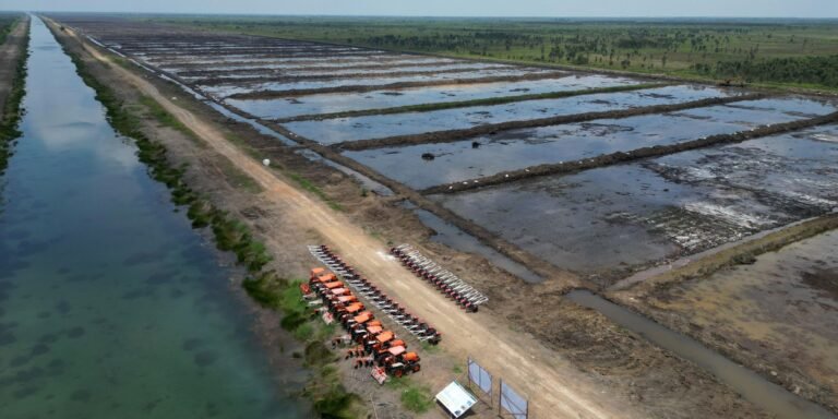 Wujudkan Swasembada Pangan Pemerintah Ambil Langkah Strategis Cetak Sawah 20 ha di Kaltim