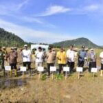 Skema Padat Karya dan Rehabilitasi Sawah Dipercepat untuk Pulihkan Penghidupan Pascabencana