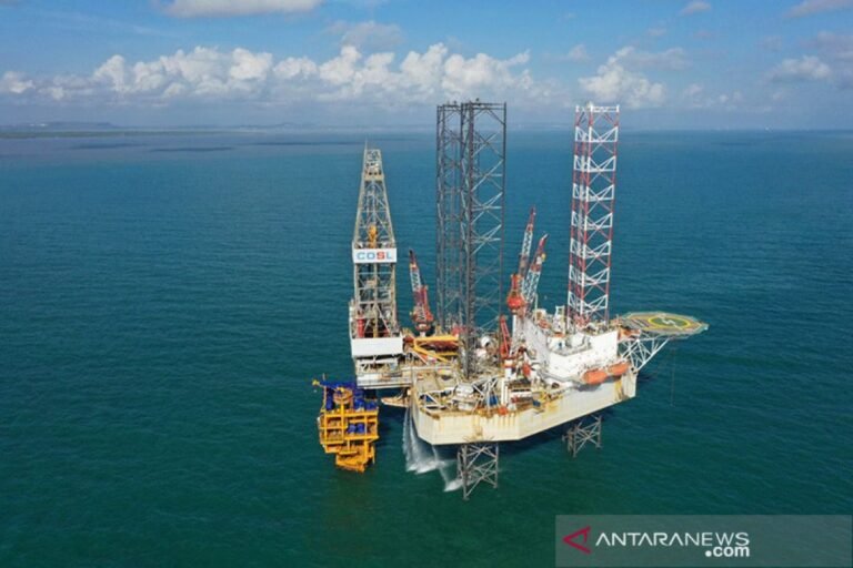Potensi SDA Papua Menguatkan Arah Swasembada Energi Indonesia