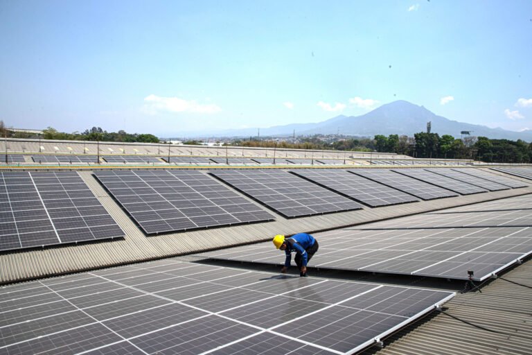 Transisi Energi Rendah Karbon dan Konsolidasi Ekosistem Energi Nasional