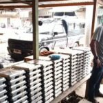 Pemerintah Pastikan MBG Berlanjut di Bulan Ramadan dengan Penyesuaian Teknis