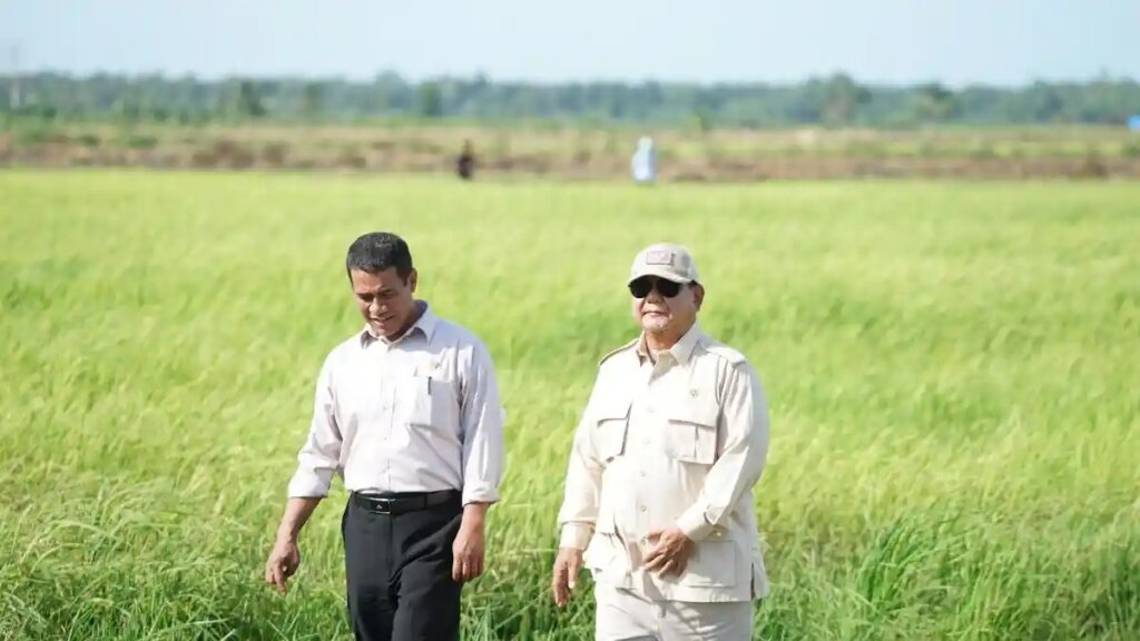 Swasembada Pangan Multi Komoditas: Dari Surplus Produksi Menuju Kedaulatan Sistemik